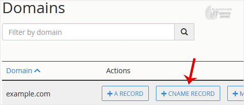 How to Add a CNAME Record in cPanel