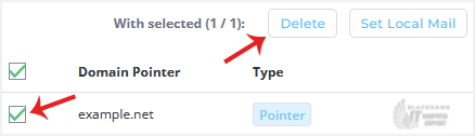 How to Remove a Domain Pointer in DirectAdmin