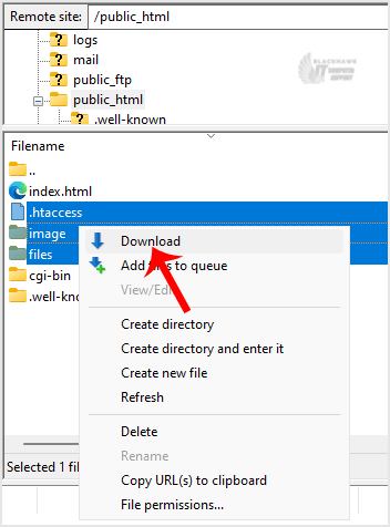 How to Download Files and Directories to Your Computer via FileZilla