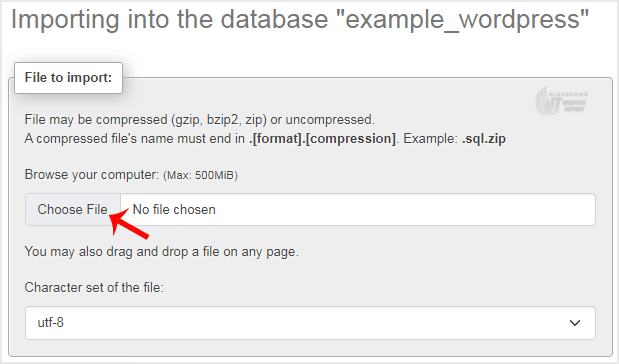 How to Import a Database via phpMyAdmin in cPanel