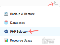How to Enable ionCube Loader Using CloudLinux Selector in Plesk