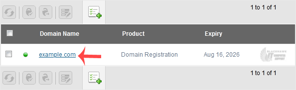 How to Update the DNS Nameservers at NetEarthOne or LogicBoxes-Based Registrars
