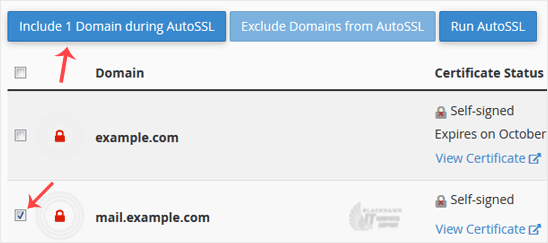 How to Include or Exclude a Domain from AutoSSL in cPanel