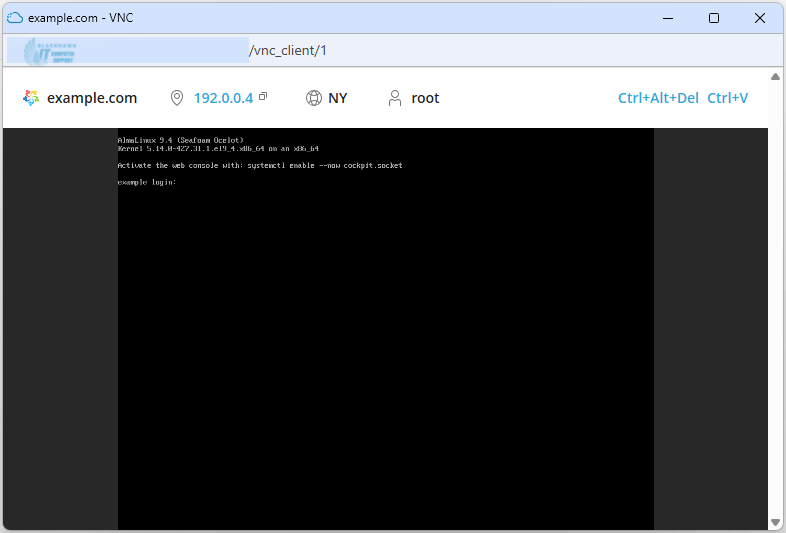 How to Access VPS via VNC in SolusVM 2