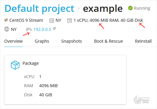 How to Check VPS Specifications and Virtualization Info in SolusVM 2
