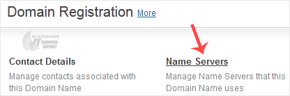 How to Update the DNS Nameservers at NetEarthOne or LogicBoxes-Based Registrars