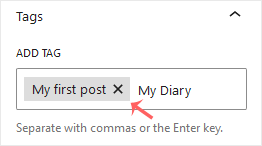How to Write and Publish Your First Blog Post in WordPress