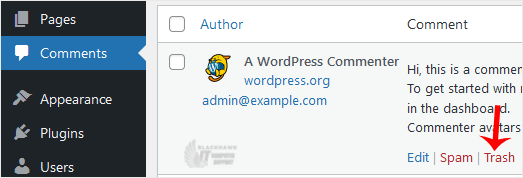 How to Remove Sample Comments and Posts From WordPress